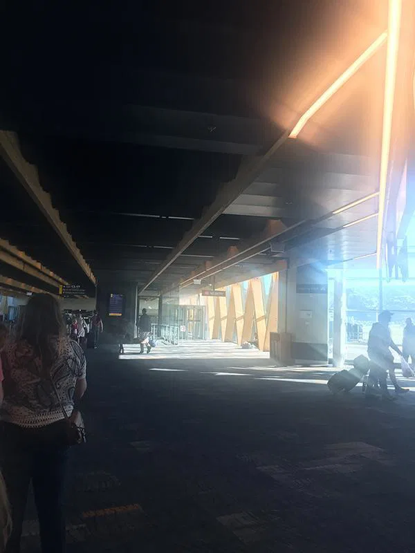 A w nz wellington archi tour 2017 13