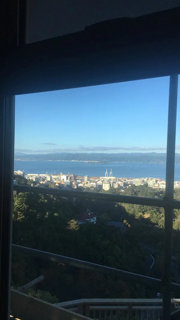 A w nz wellington archi tour 2017 16