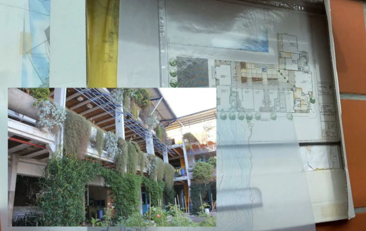 Celebrating julie stout s gold video 05 urban projects 05