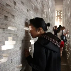 Lily Wong