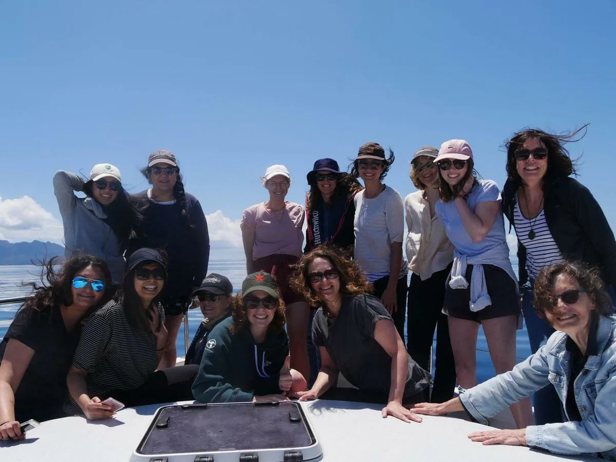 Sga a w nz building workshop 2017 kaikoura trust 02