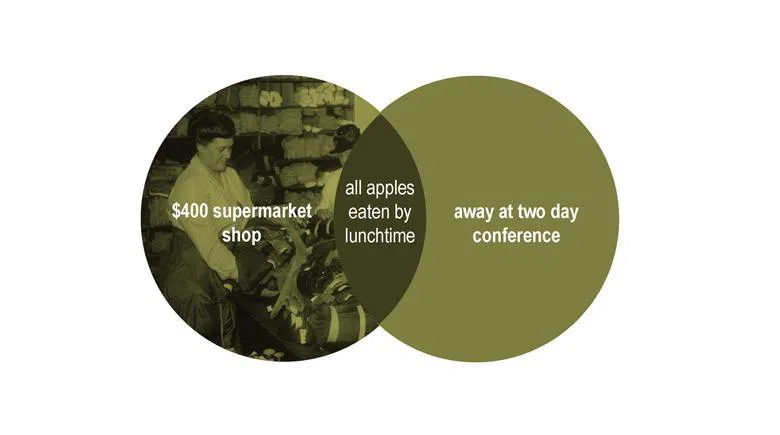 Working mothers illustrated in venn diagrammes by nikk 23