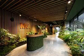 MC fitout