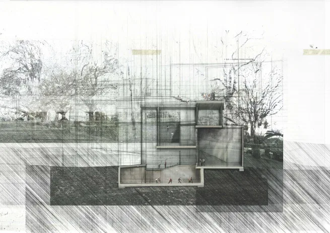 Cross section 6