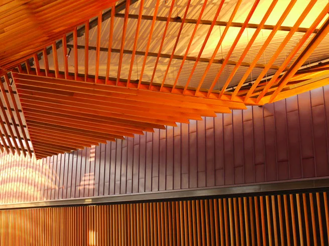 Te awa cedar feature